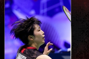 我们看到了 我们看到了