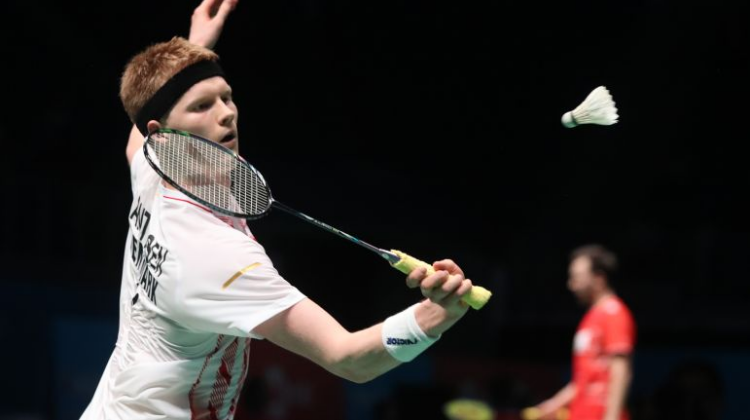 恰恰代表着 恰恰代表着