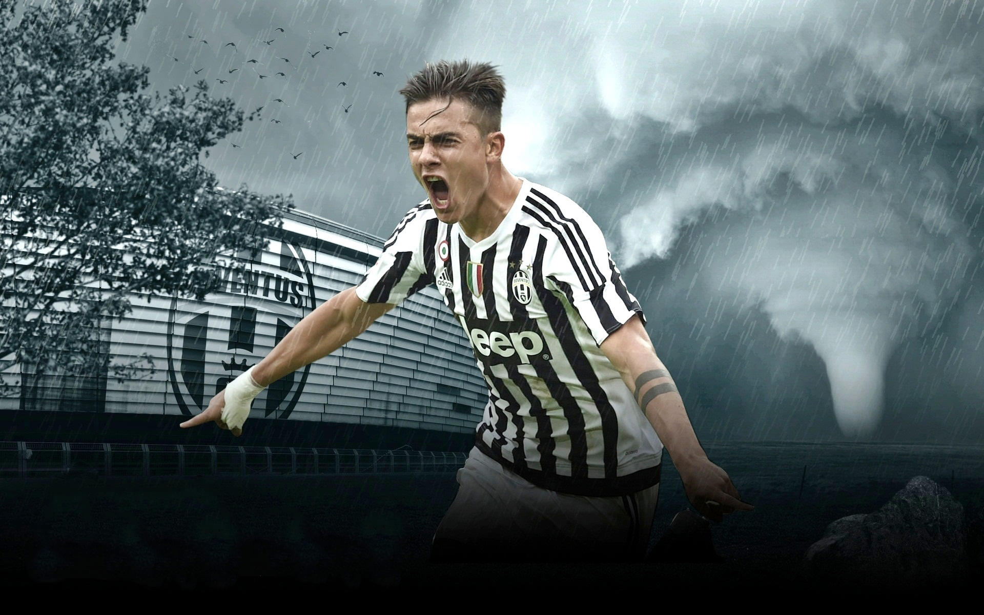 中卫需要在 中卫需要在